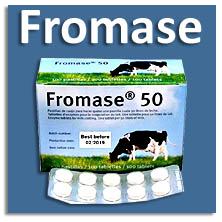Fromase