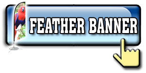 Quote Feather Banner