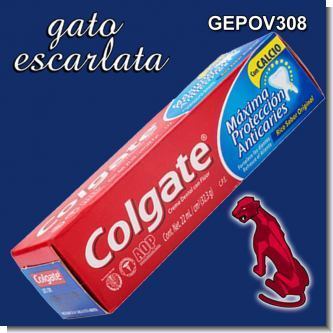 Read full article COLGATE TOOTHPASTE 22 ML - 12 TUBES Read full article COLGATE TOOTHPASTE 22 ML - 12 TUBES