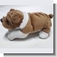 WHITE AND BROWN COLOR TEDDY DOG 10 CENTIMETERS TALL