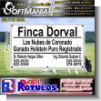 SMRR23100307: Cut Vinyl Banner with Metal Holes to Tie with Text Pure Registered Holstein Cattle Advertising Sign for Cattle Raising brand Softmania Rotulos Dimensions 59.1x35.4 Inches