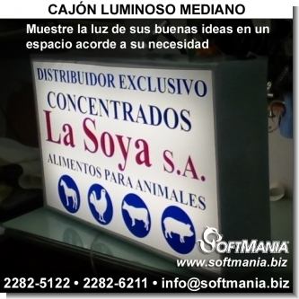 Cajon Luminoso Mediano